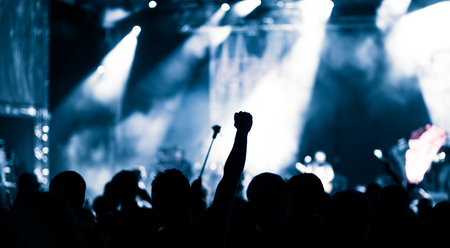 crowd at concert - summer music festival