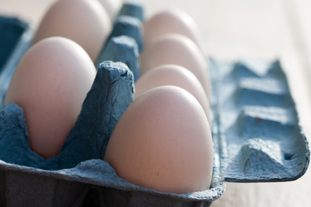 beautiful big white organic eggs in tray