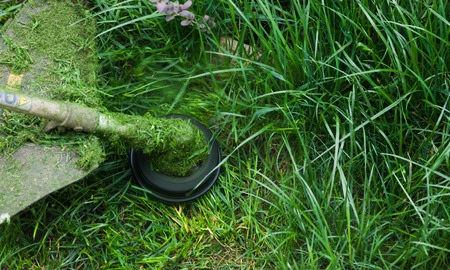 cutting grass in garden with the weed trimmer