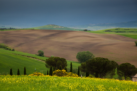 beautiful green summer landscape in Tuscany, Italyの写真素材