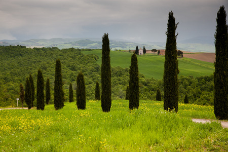 beautiful green summer landscape in Tuscany, Italyの写真素材