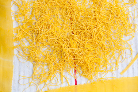 home made pasta
