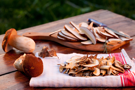 preparing fresh boletus edulis for drying over Wooden Background. Autumn Cep Mushrooms. Cooking delicious organic mushroom. Gourmet foodの写真素材