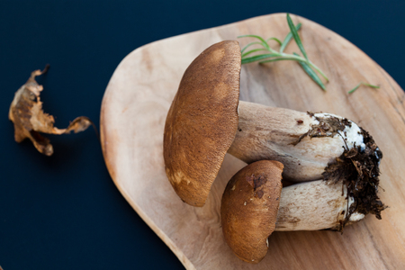 freshly collected boletus edulis over Wooden Background. Autumn Cep Mushrooms. Cooking delicious organic mushroom. Gourmet foodの写真素材