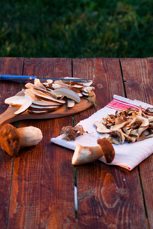 preparing fresh boletus edulis for drying over Wooden Background. Autumn Cep Mushrooms. Cooking delicious organic mushroom. Gourmet foodの写真素材