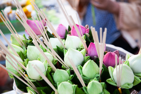 beautiful flower offerings to Buddhaの写真素材