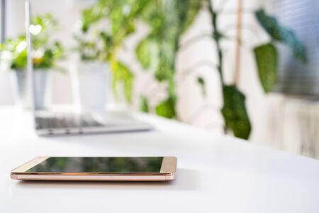 green office laptop smartphone and tropical plants