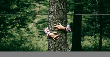 woman hand embracing a tree in green forest - nature loving, fight global warming, save planet earthの写真素材