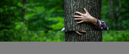 woman hand embracing a tree in green forest - nature loving, fight global warming, save planet earthの写真素材
