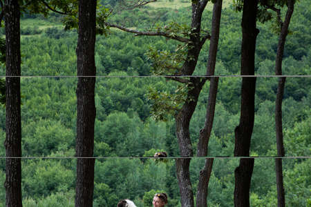 woman trekking with a dogの写真素材