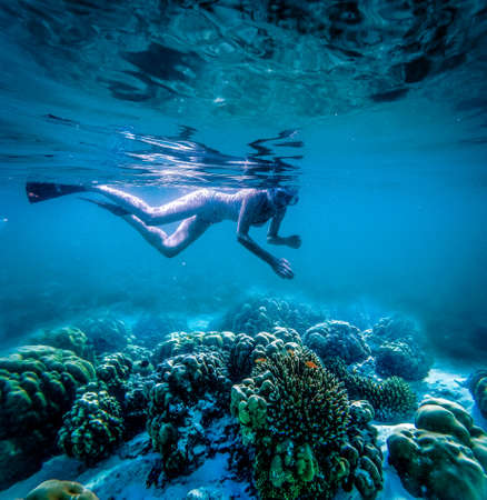 woman snorkeling in clear tropical waters - active holidayの写真素材