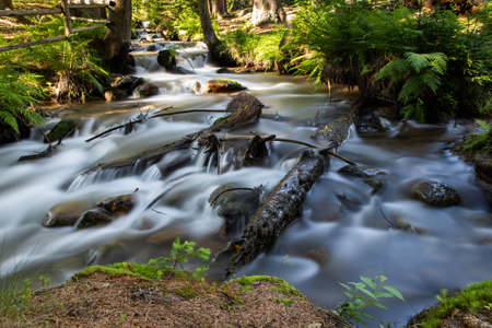 beautiful background of flowing stream is green forest nature therapy