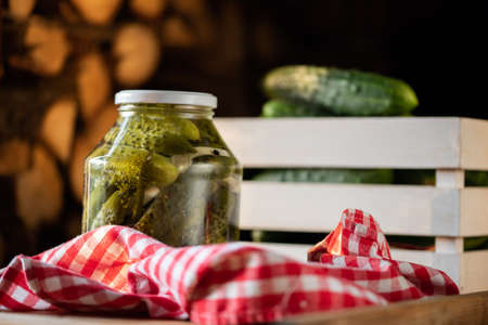 pickled cucumbers for winter organic foodの写真素材