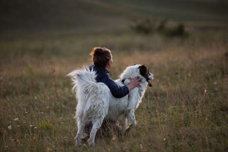 happy woman with white dog in autumn landscapeの写真素材