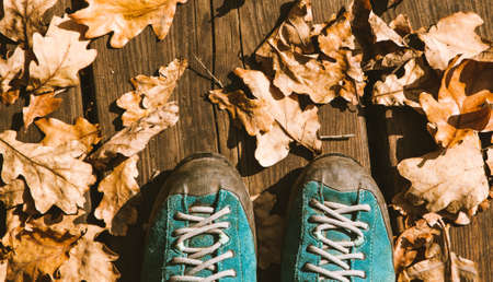 autumn background trekking shoes and colorful foliageの写真素材