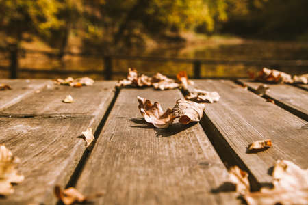 autumn background colorful foliage on wooden backgroundの写真素材