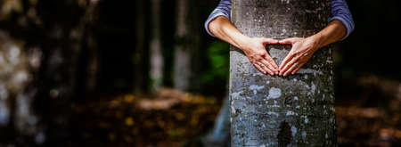 woman hand embracing a tree in the forest - nature loving, fight global warmingの写真素材