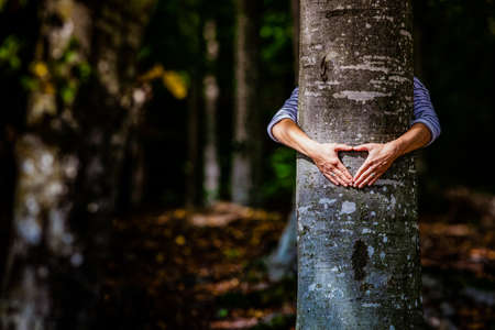 woman hand embracing a tree in the forest - nature loving, fight global warming