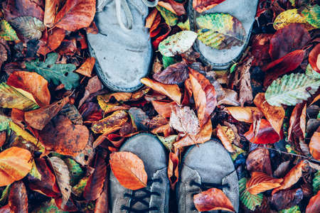 couple feet in autumn foliageの写真素材