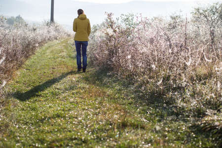 woman walking alone in autumn landscape  social distancingの写真素材