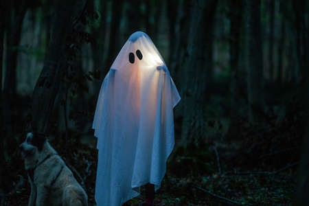 ghost in a dark forest Halloween backgroundの写真素材