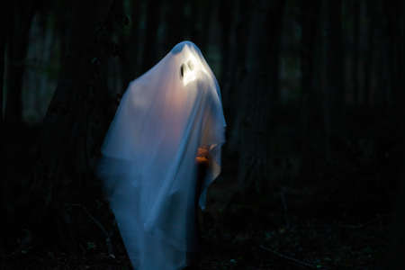 ghost in a dark forest Halloween backgroundの写真素材
