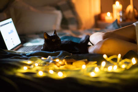cozy Christmas at home woman in wool socks and black cat in bedの写真素材