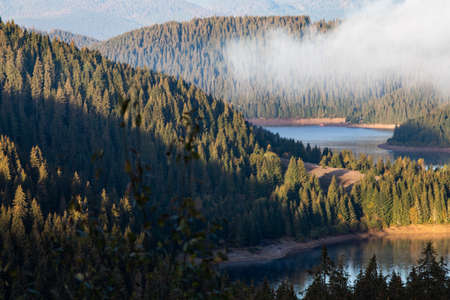 aerial view of mountain lake surrounded by fir trees