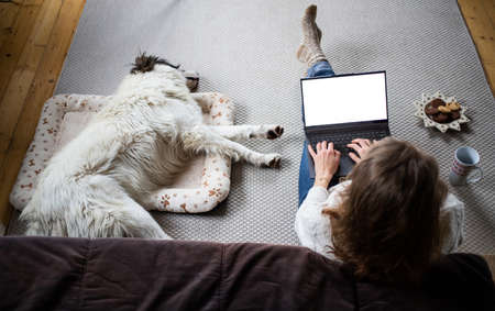 woman at home with dog hygge at Christmas timeの写真素材