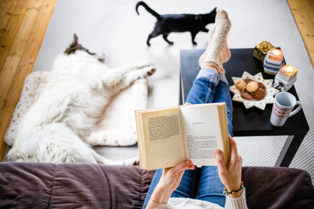 woman at home with dog hygge at Christmas timeの写真素材