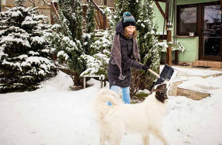 woman with shovel cleaning snow., white dog playing. Winter shoveling. Removing snow after blizzard