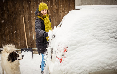 woman cleaning snow from car after blizzard  dog playingの写真素材