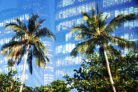 green city - double exposure of lush green forest and modern skyscrapers windowsの写真素材