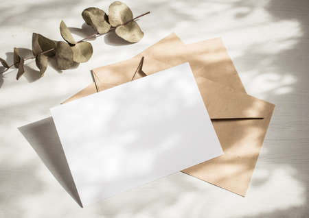 blank greeting card  invitation mockup with craft paper envelope  feminine still life compositionの写真素材
