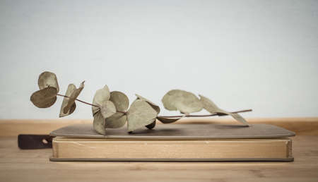 books on retro white table by bed    Scandinavian interior  neutral color palette.の写真素材