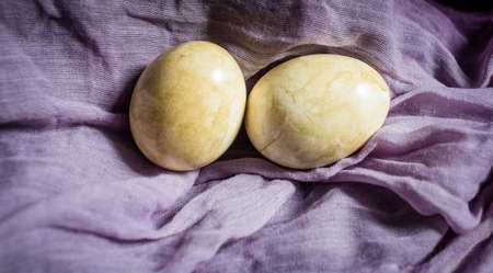 easter spring still life with eggs neutral colorsの写真素材