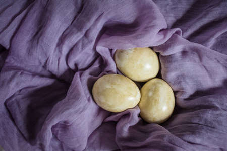 easter spring still life with eggs neutral colorsの写真素材