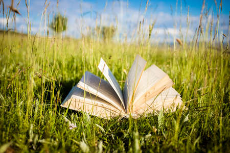open book in green fieldの写真素材