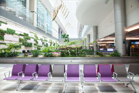 SINGAPORE, SINGAPORE - MARCH 2019: Luggage arriving among lush green plants in Changi Airport. Singapore Changi Airport, one of the largest transport hubsのeditorial素材
