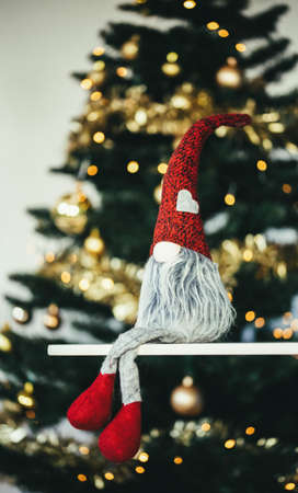 gnome sitting in front of Christmas treeの写真素材