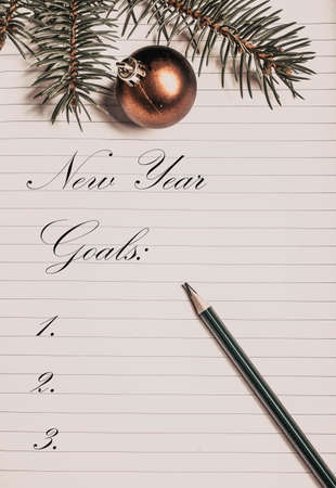 empty notebook page and fir branch New Year goalsの写真素材