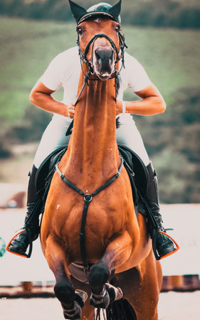 competitor and his horse jumping at an equestrian contest