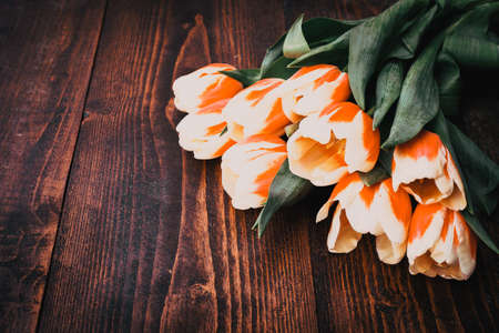 mother's day background beautiful bunch of fresh tulipsの写真素材