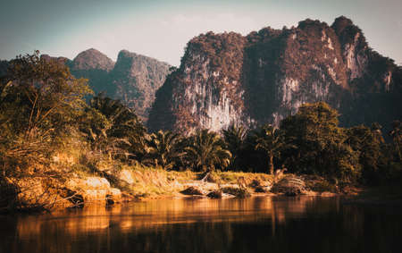 palm trees river and rocks jungle sceneryの写真素材