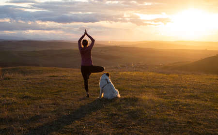 woman with white dog doing yoga at sunset tree pose  vrksasanaの写真素材