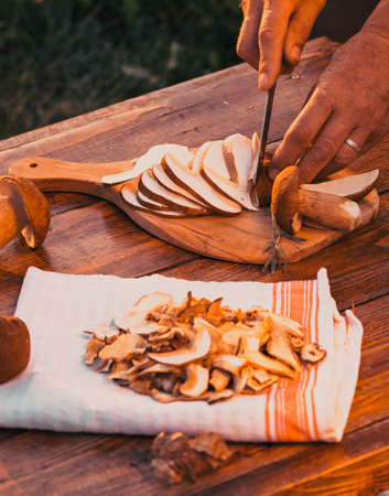 preparing fresh boletus edulis for drying over Wooden Background. Autumn Cep Mushrooms. Cooking...