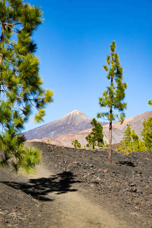amazing landscape in El Teide national parkの写真素材