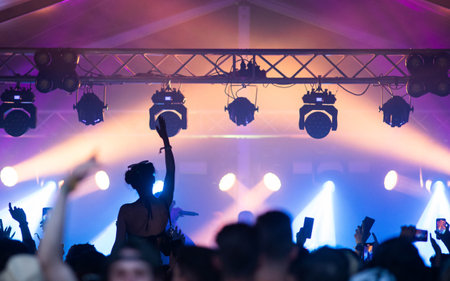 crowd at concert - summer music festivalの写真素材