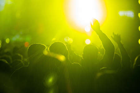 crowd at concert - summer music festival