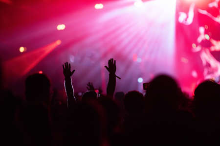 crowd at concert - summer music festivalの写真素材